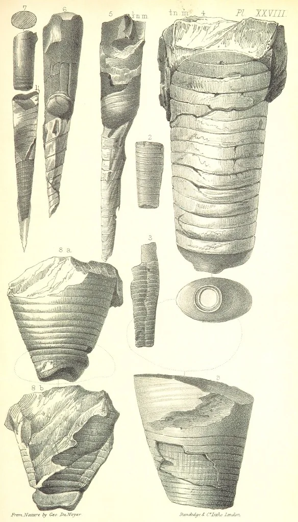 An illustration from Report on the Geology of the County of Londonderry, and of parts of Tyrone and Fermanagh. [With maps and plates, 1843, leaf 893