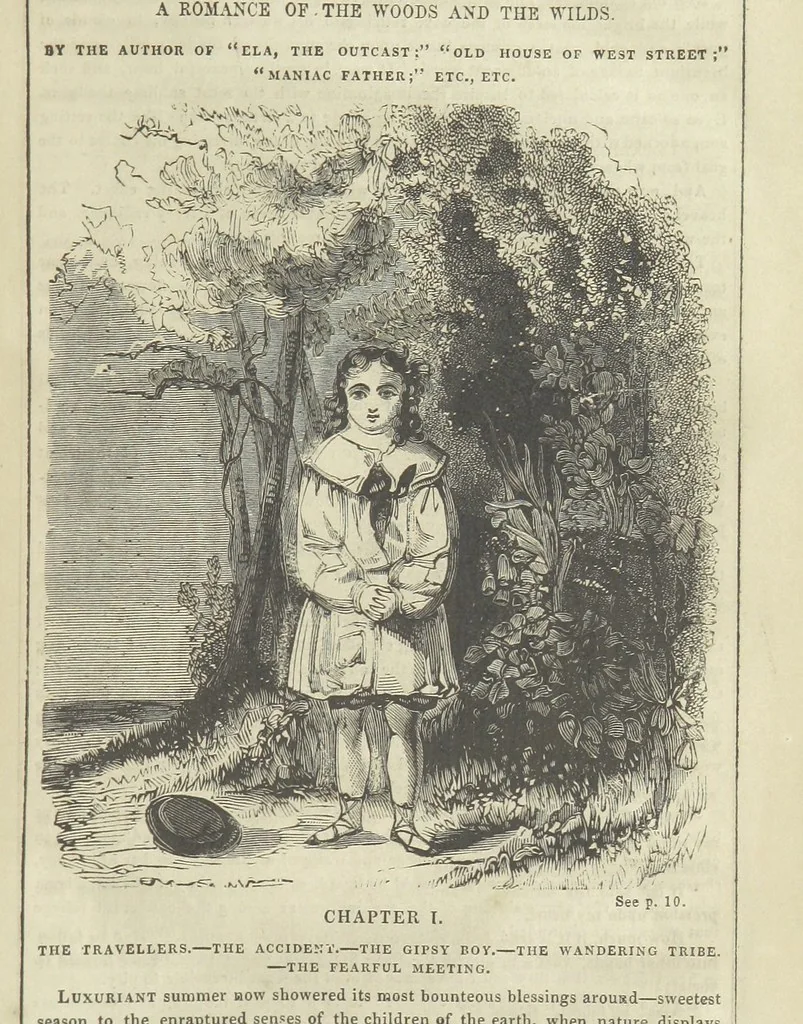 An illustration from The Gipsy Boy: a romance of the woods and wilds, 1847, leaf 11