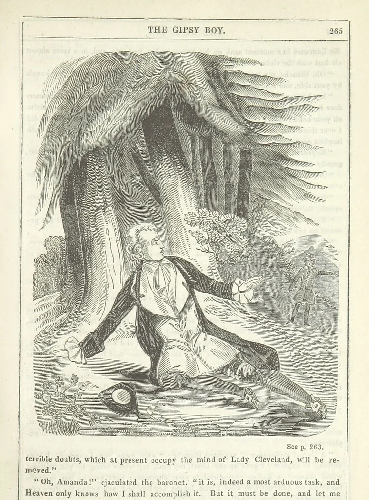 An illustration from The Gipsy Boy: a romance of the woods and wilds, 1847, leaf 271