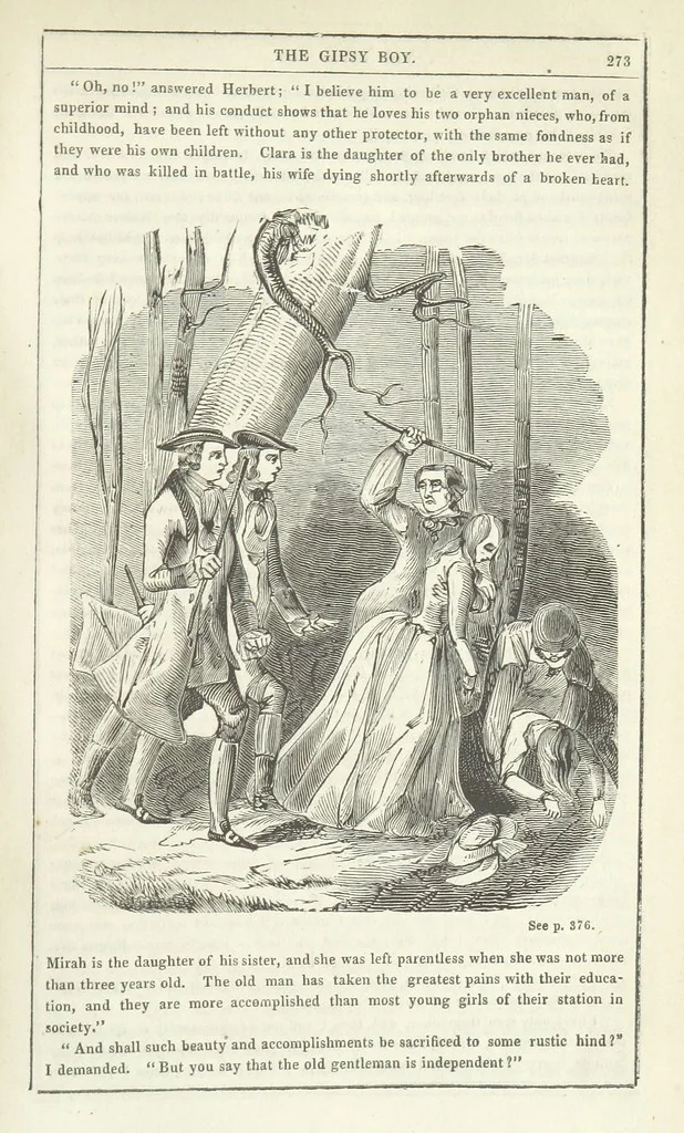 An illustration from The Gipsy Boy: a romance of the woods and wilds, 1847, leaf 279