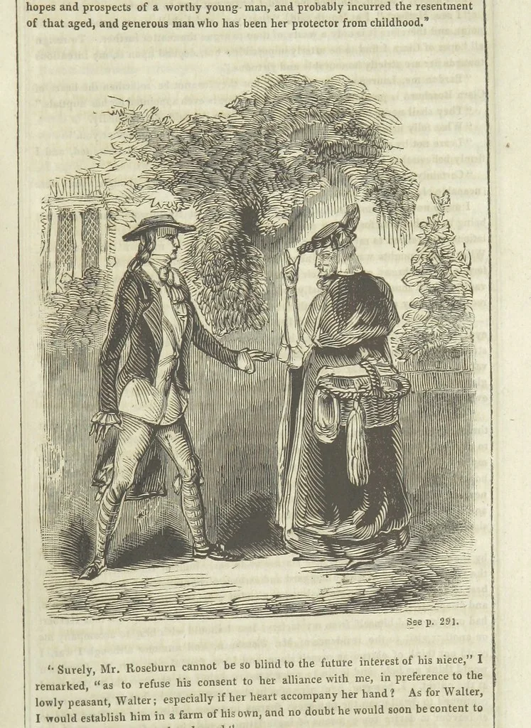 An illustration from The Gipsy Boy: a romance of the woods and wilds, 1847, leaf 295