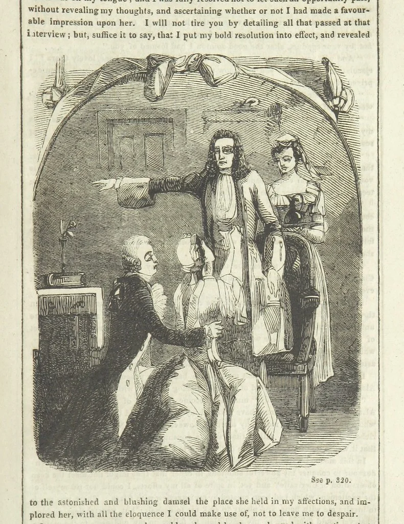 An illustration from The Gipsy Boy: a romance of the woods and wilds, 1847, leaf 319