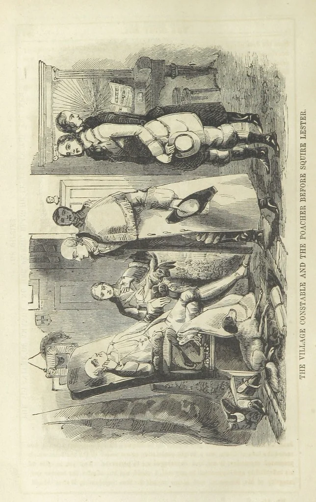 An illustration from The Gipsy Boy: a romance of the woods and wilds, 1847, leaf 328