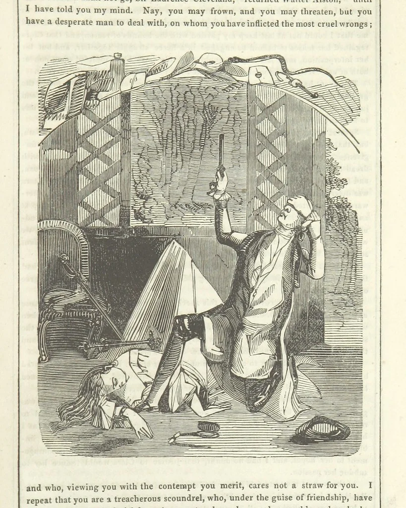 An illustration from The Gipsy Boy: a romance of the woods and wilds, 1847, leaf 345