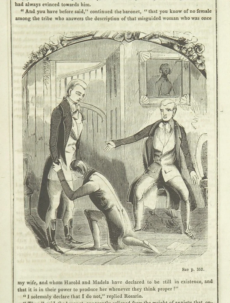An illustration from The Gipsy Boy: a romance of the woods and wilds, 1847, leaf 361
