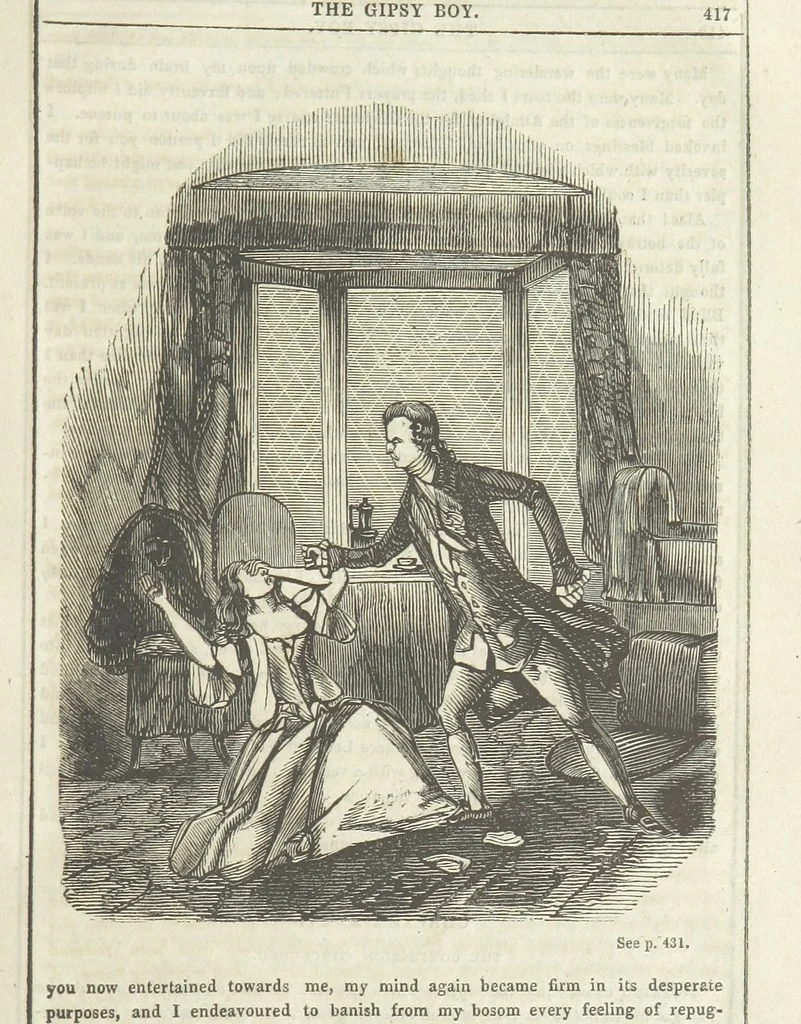 An illustration from The Gipsy Boy: a romance of the woods and wilds, 1847, leaf 425