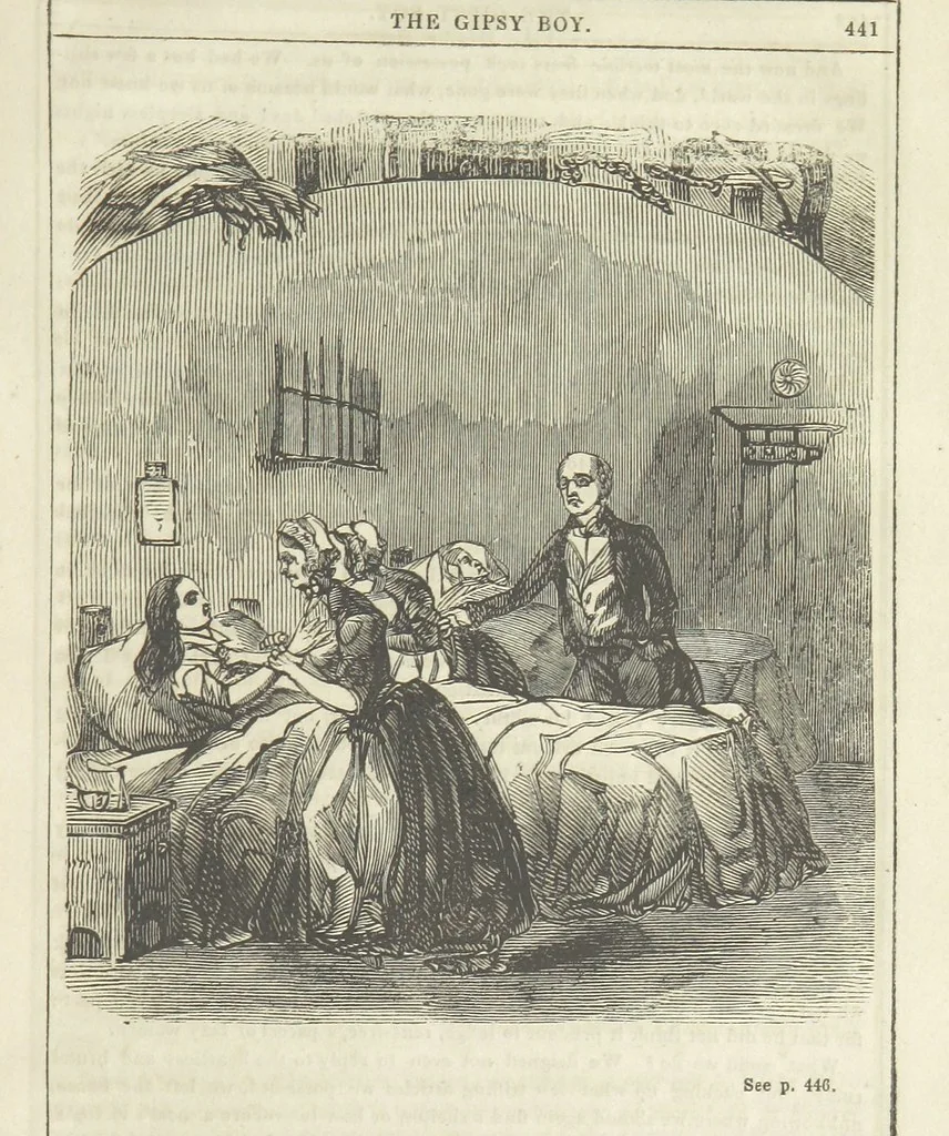 An illustration from The Gipsy Boy: a romance of the woods and wilds, 1847, leaf 449