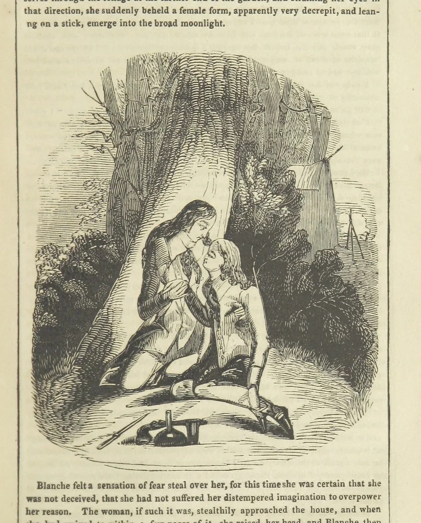 An illustration from The Gipsy Boy: a romance of the woods and wilds, 1847, leaf 85