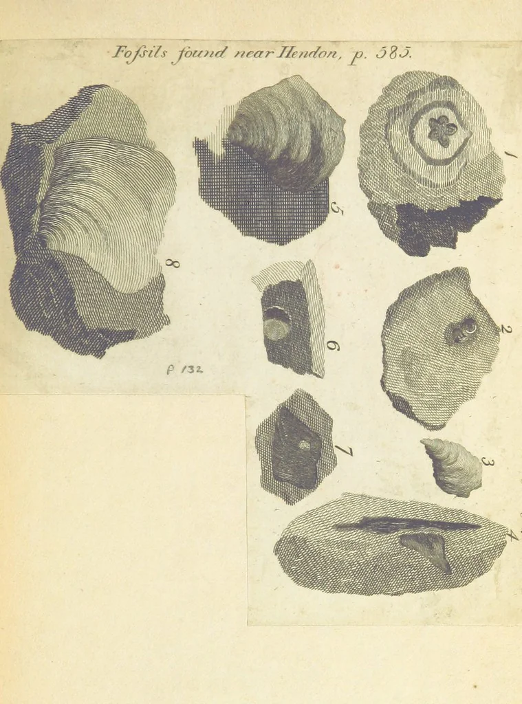 An illustration from The History and Antiquities of Highgate, Middlesex. With illustrations, 1842, leaf 259