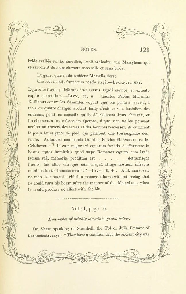 An illustration from Algiers the Warlike, and other poems, 1846, leaf 133