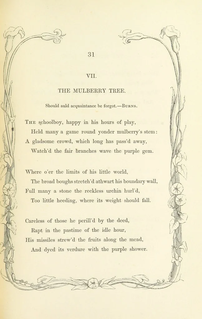 An illustration from Algiers the Warlike, and other poems, 1846, leaf 41