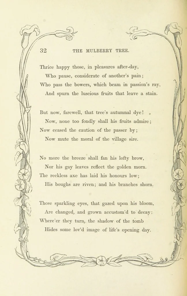 An illustration from Algiers the Warlike, and other poems, 1846, leaf 42