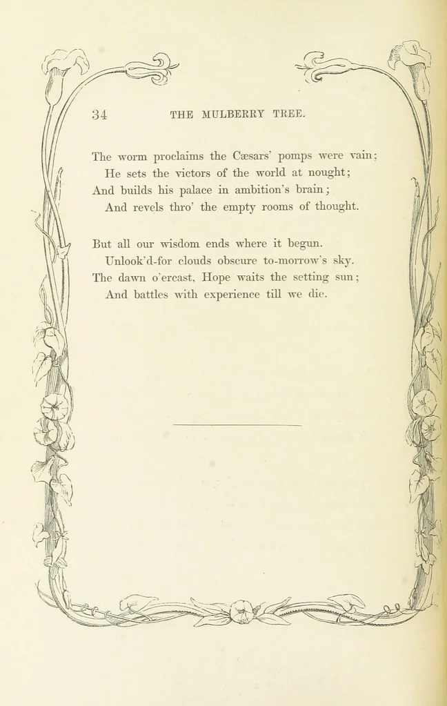 An illustration from Algiers the Warlike, and other poems, 1846, leaf 44