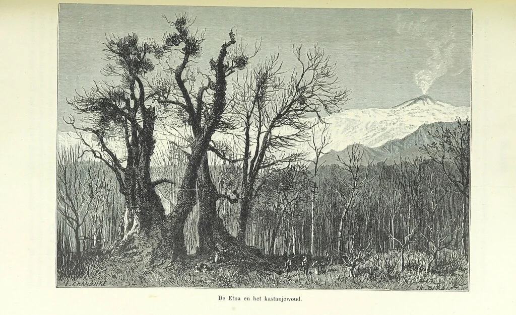 An illustration from Geïllustreerde Aardrijksbeschrijving, 1891, leaf 307