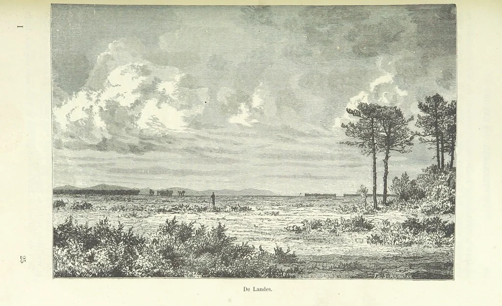 An illustration from Geïllustreerde Aardrijksbeschrijving, 1891, leaf 477