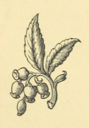 An illustration from Legends and Lyrics ... Fourth edition, 1866, leaf 183