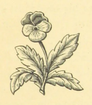 An illustration from Legends and Lyrics ... Fourth edition, 1866, leaf 221