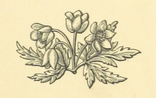 An illustration from Legends and Lyrics ... Fourth edition, 1866, leaf 29