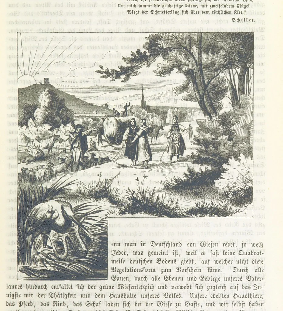 An illustration from Unser Vaterland. Bilder aus der Deutschen Geschichte, Cultur und Heimathkunde. Herausgegeben von Dr. H. Pröhle, etc, 1861, leaf 375