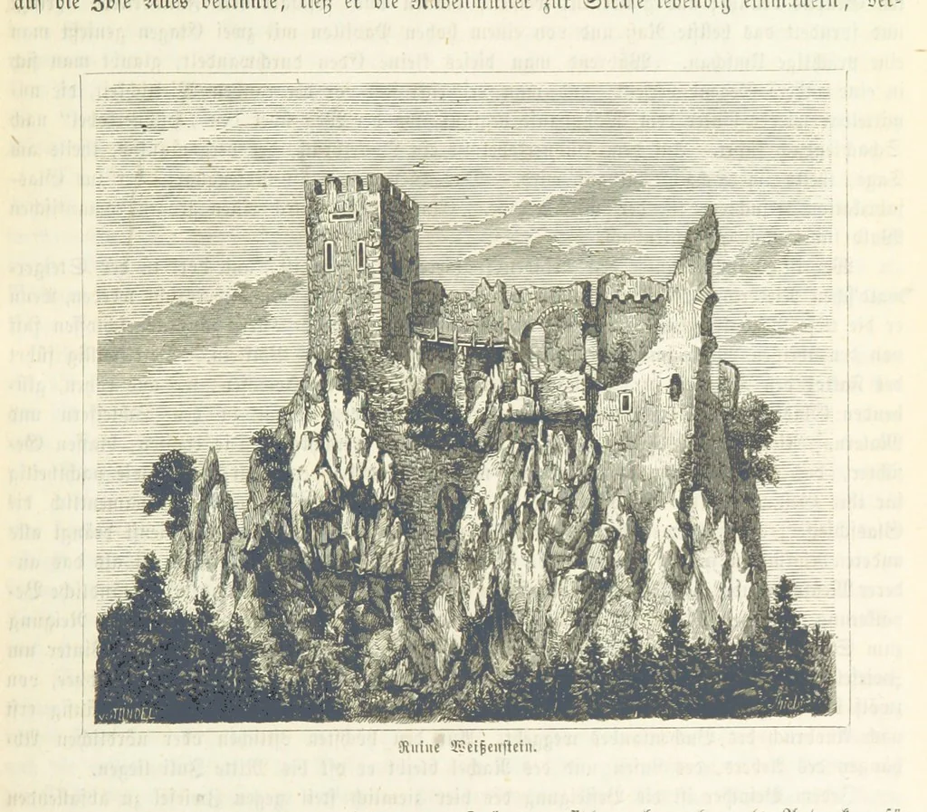 An illustration from Unser Vaterland. Bilder aus der Deutschen Geschichte, Cultur und Heimathkunde. Herausgegeben von Dr. H. Pröhle, etc, 1861, leaf 465
