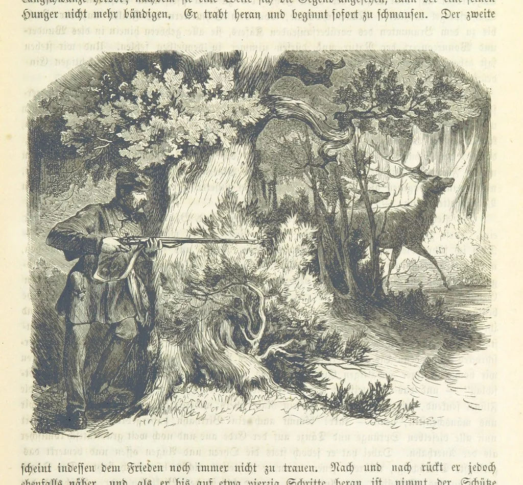 An illustration from Unser Vaterland. Bilder aus der Deutschen Geschichte, Cultur und Heimathkunde. Herausgegeben von Dr. H. Pröhle, etc, 1861, leaf 509