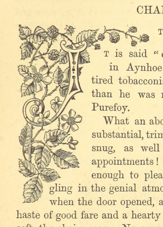 An illustration from The Door without a Knocker, and other tales, 1875, leaf 117