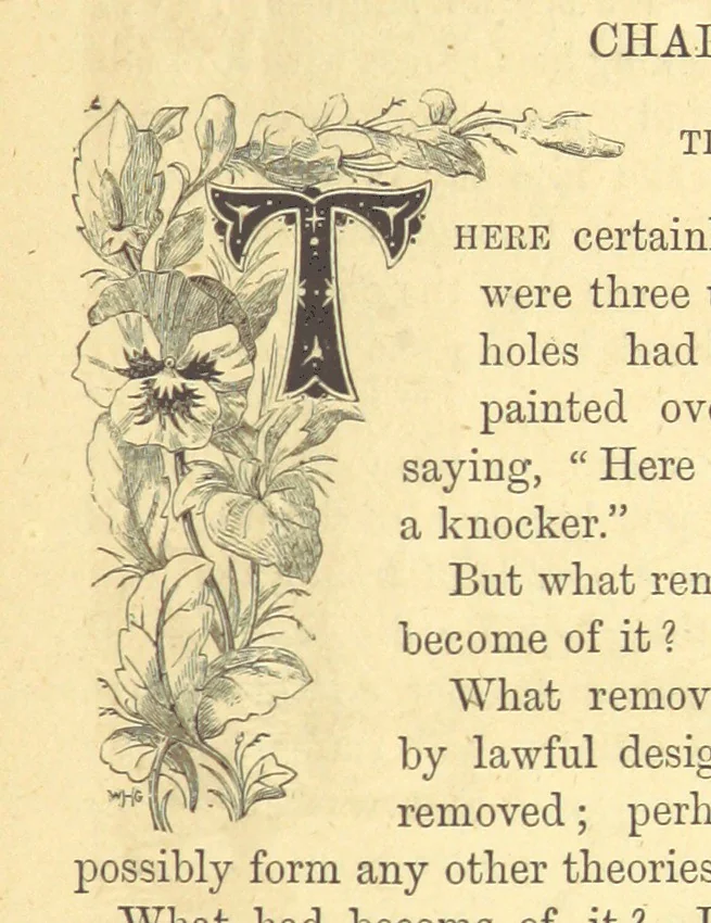 An illustration from The Door without a Knocker, and other tales, 1875, leaf 13