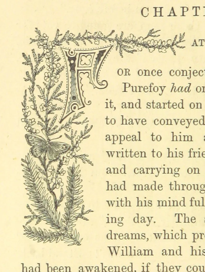 An illustration from The Door without a Knocker, and other tales, 1875, leaf 168
