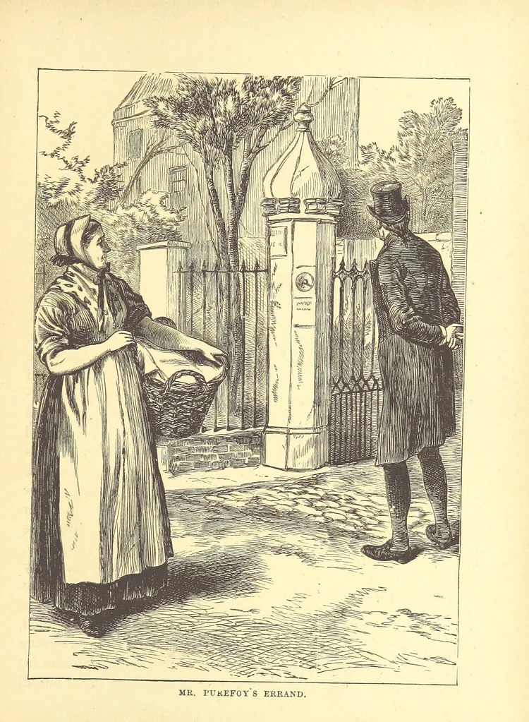 An illustration from The Door without a Knocker, and other tales, 1875, leaf 169
