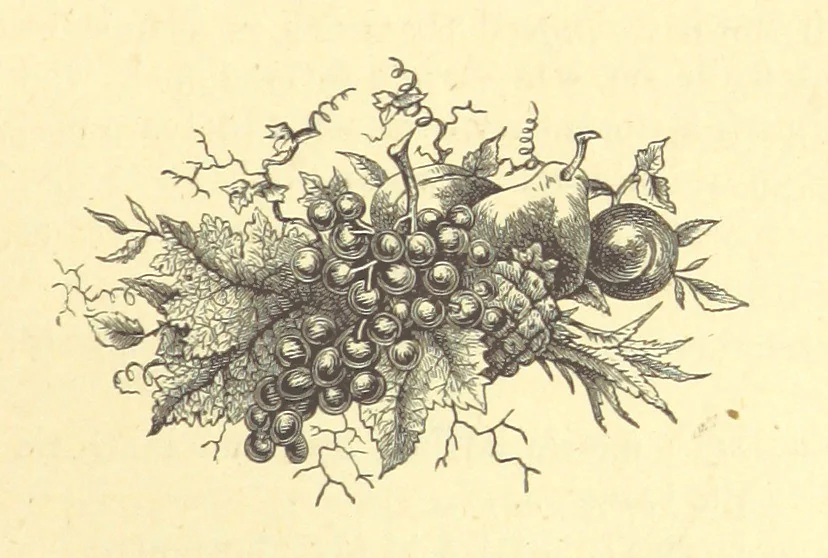 An illustration from The Door without a Knocker, and other tales, 1875, leaf 179