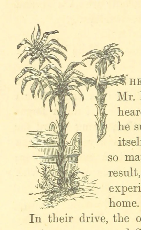 An illustration from The Door without a Knocker, and other tales, 1875, leaf 180