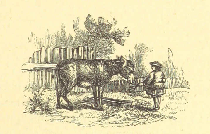An illustration from The Door without a Knocker, and other tales, 1875, leaf 211