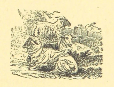 An illustration from The Door without a Knocker, and other tales, 1875, leaf 22