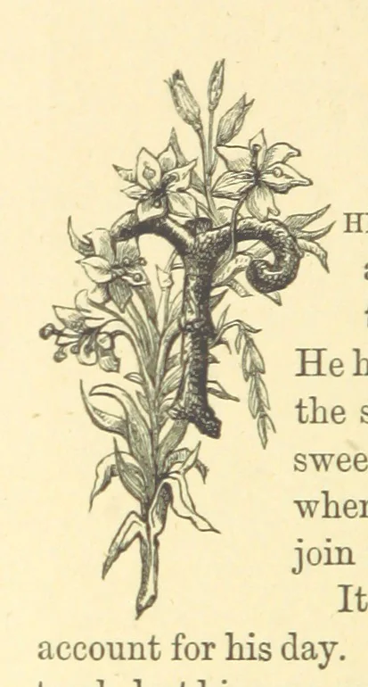 An illustration from The Door without a Knocker, and other tales, 1875, leaf 224