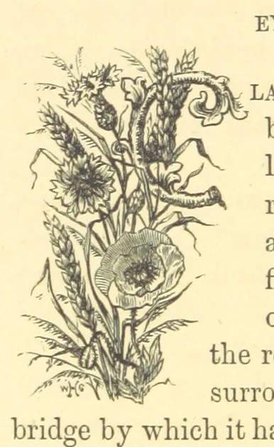 An illustration from The Door without a Knocker, and other tales, 1875, leaf 240