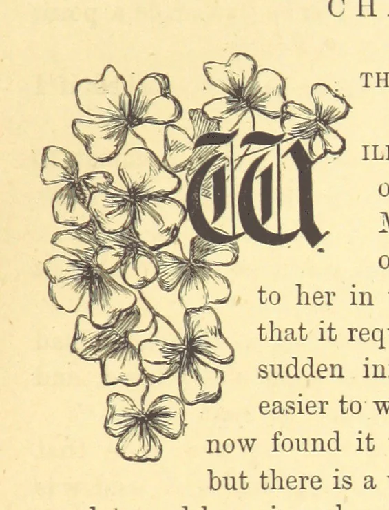 An illustration from The Door without a Knocker, and other tales, 1875, leaf 261