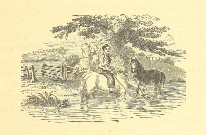An illustration from The Door without a Knocker, and other tales, 1875, leaf 277