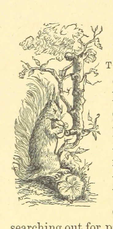 An illustration from The Door without a Knocker, and other tales, 1875, leaf 278