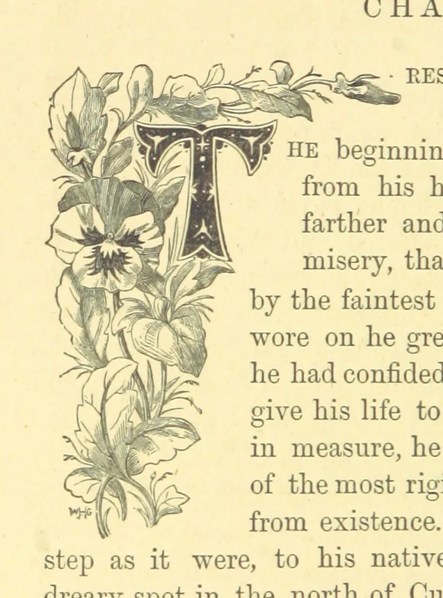 An illustration from The Door without a Knocker, and other tales, 1875, leaf 280