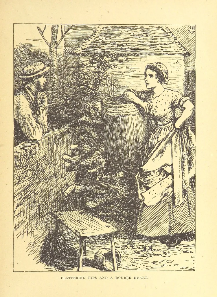 An illustration from The Door without a Knocker, and other tales, 1875, leaf 29