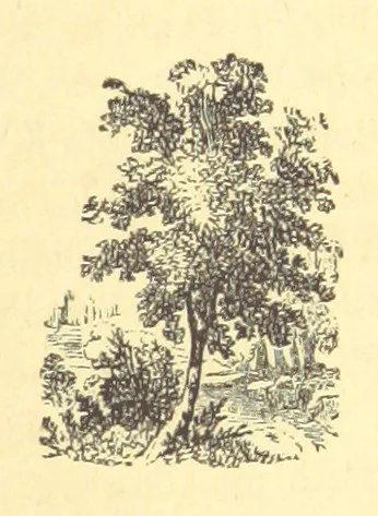 An illustration from The Door without a Knocker, and other tales, 1875, leaf 301