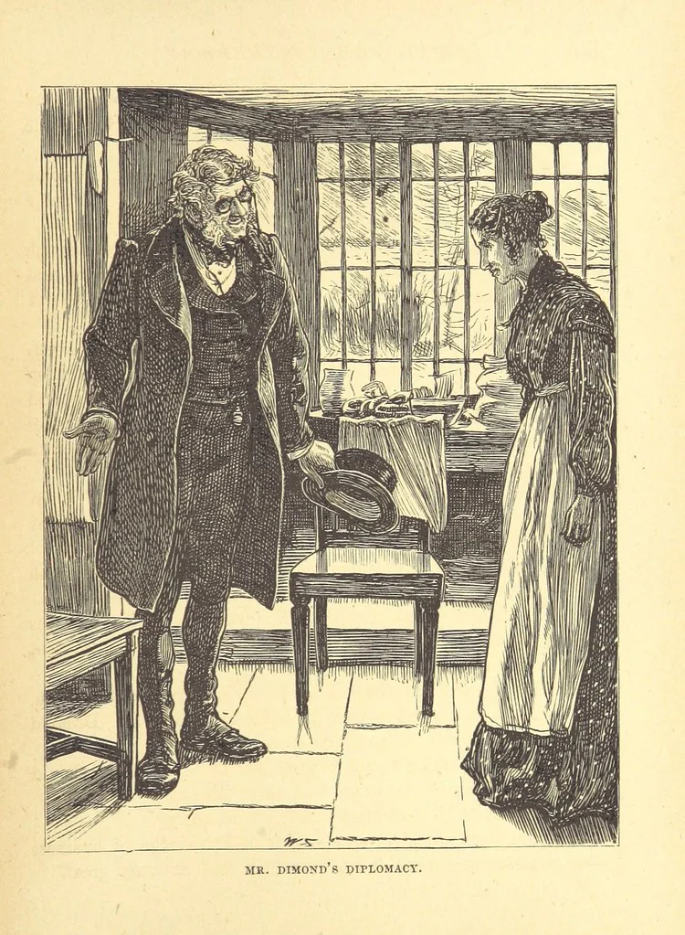 An illustration from The Door without a Knocker, and other tales, 1875, leaf 307