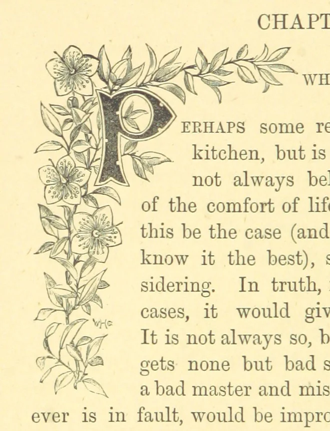 An illustration from The Door without a Knocker, and other tales, 1875, leaf 46