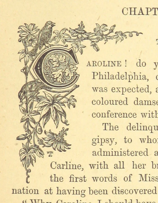 An illustration from The Door without a Knocker, and other tales, 1875, leaf 71