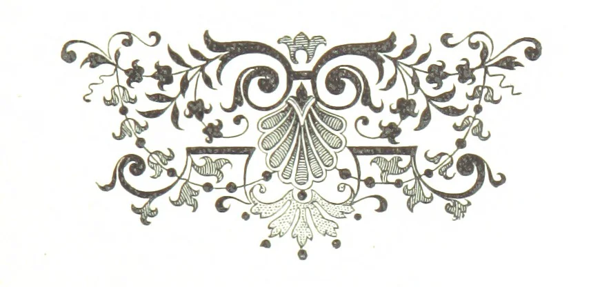 An illustration from Забытое прошлое окрестностей Петербурга, 1889, leaf 417