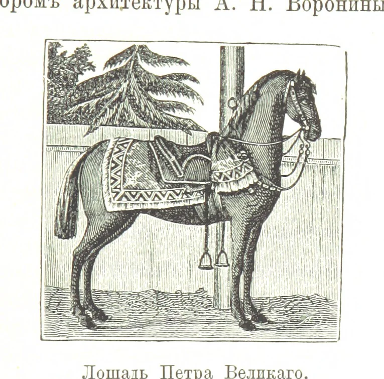 An illustration from Забытое прошлое окрестностей Петербурга, 1889, leaf 439