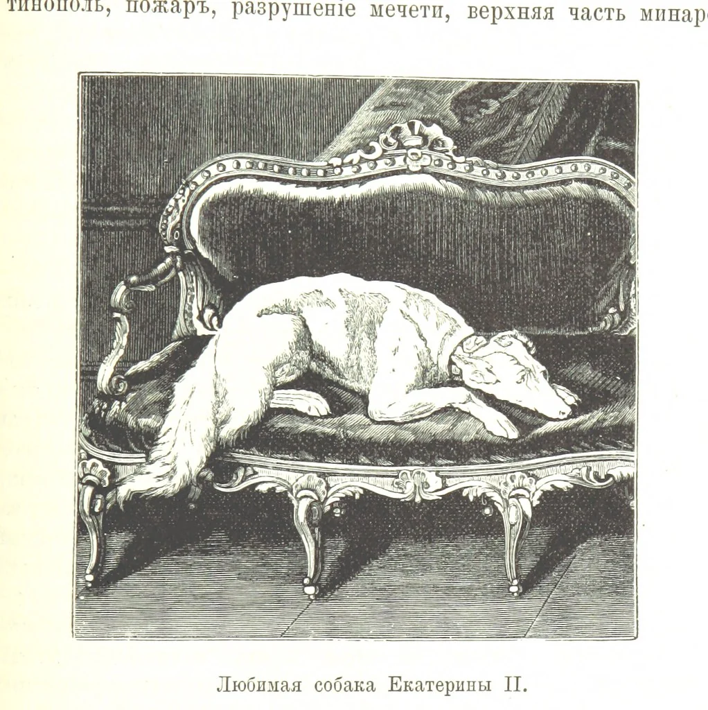 An illustration from Забытое прошлое окрестностей Петербурга, 1889, leaf 483