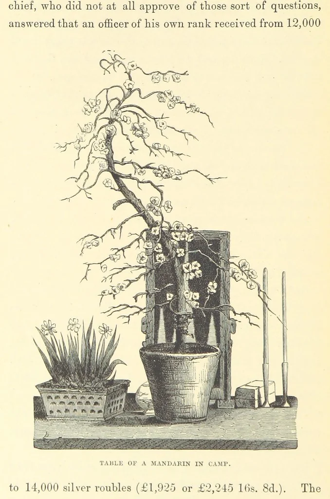 An illustration from Russian Travellers in Mongolia and China ... Translated by J. Gordon-Cumming. [An abridged translation, 1884, leaf 262