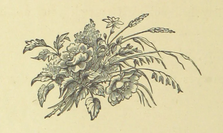 An illustration from The Quiver of Love. A collection of Valentines ancient and modern. With illustrations, in colors, ... by W. Crane and Kate Greenaway, 1876, leaf 154