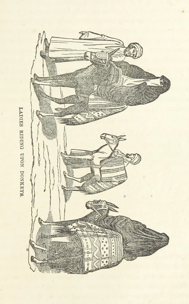 An illustration from The Handwriting of God in Egypt, Sinai, and the Holy Land: the records of a journey from the great Valley of the West to the Sacred Places of the East. ... With maps, diagrams, and ... illustrations, 1867, leaf 111